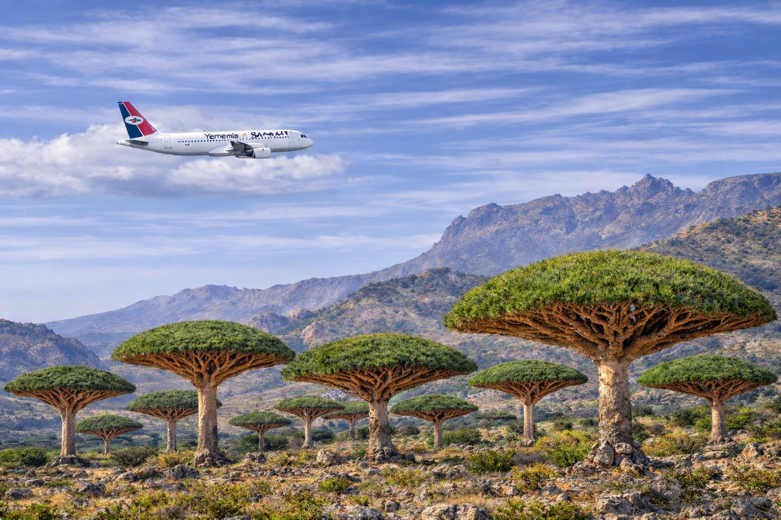 Photo – Socotra Travel Guide 2026 – Jeddah Gateway