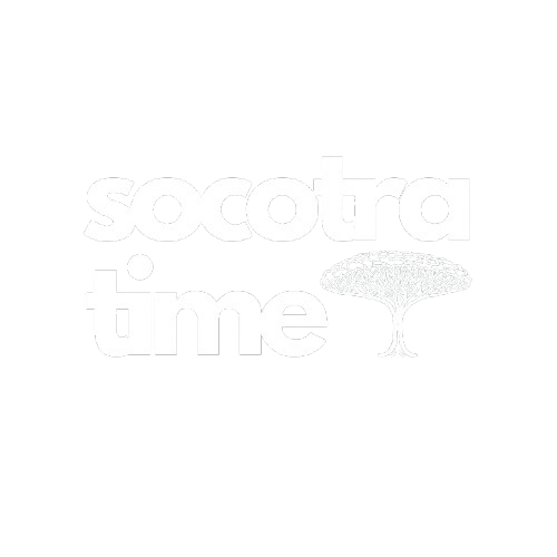 Socotra Time Sustainable Camping & Adventure